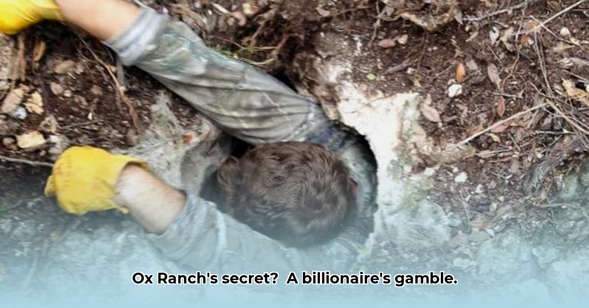 brent-oxley-net-worth